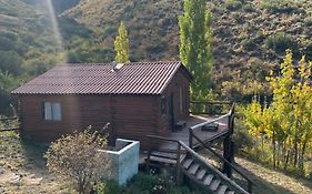 Cabañas BALCONES DEL PORTEZUELO - Mendoza